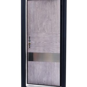 Steel Door