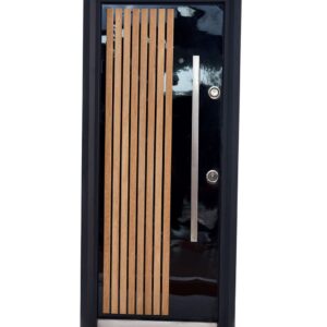 Steel Door